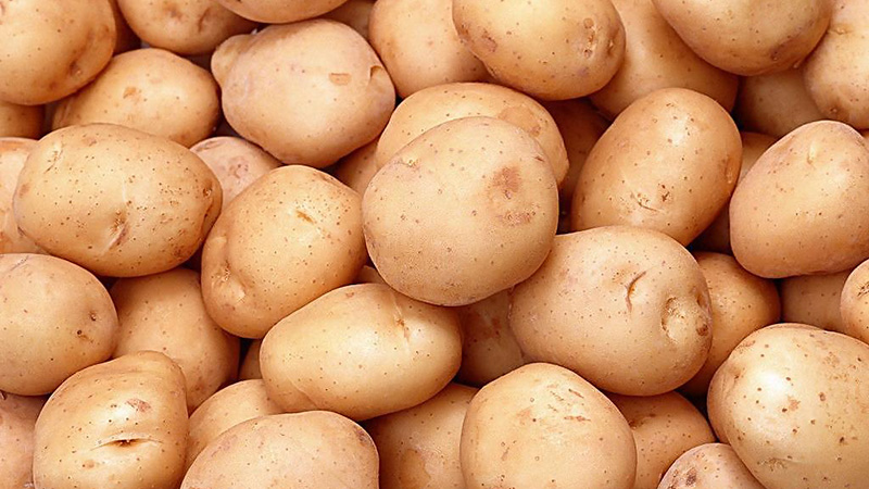 Starch-Centrifuge